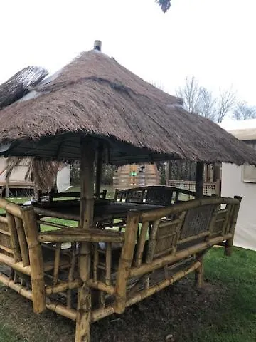 キャンプ場 Du Pontis